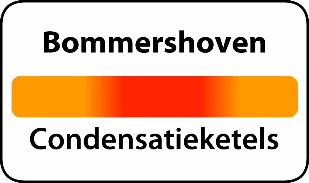 De beste condensatieketels in Bommershoven 3840